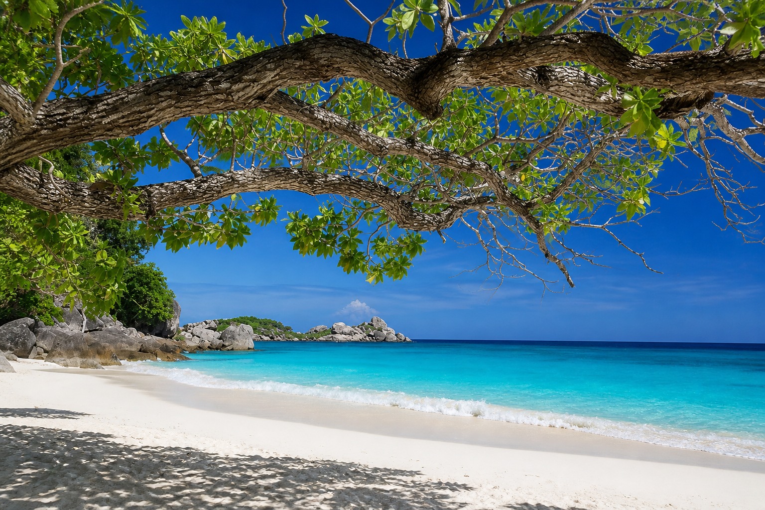 Quiet tropical beach for swimming and relaxing, Ang Thong Marine Park