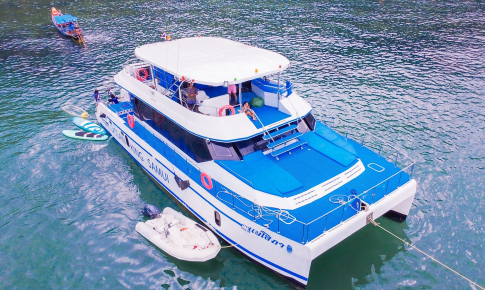 Pig Island catamaran tour boat moored off Koh Tan