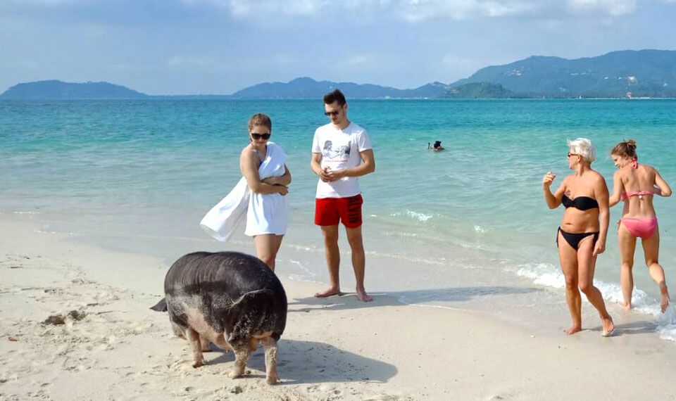 Passengers seated on the shared Pig Island speedboat from Thong Krut